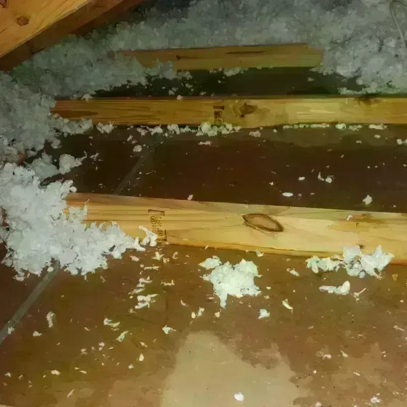 Attic Water Damage in Auburn, NE