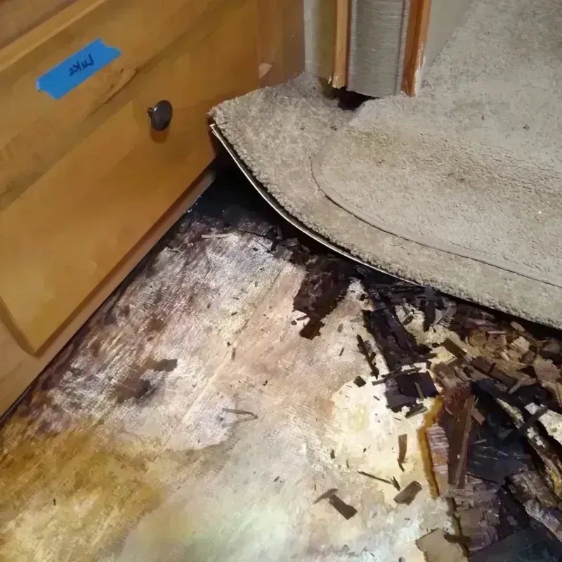 Wood Floor Water Damage in Auburn, NE